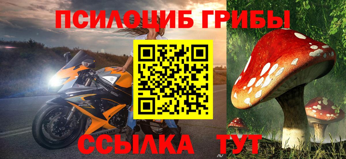 Галлюциногенные грибы Psilocybine cubensis Черняховск