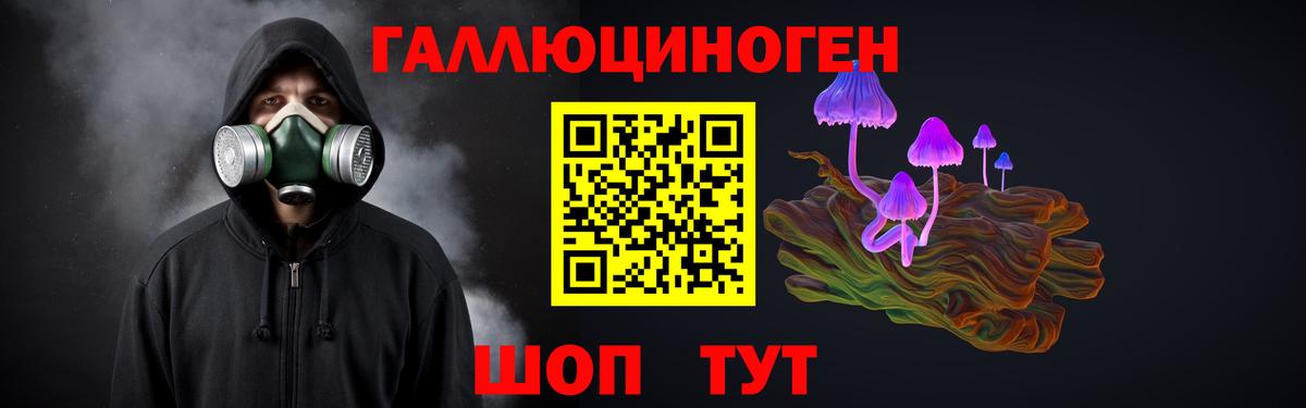 Псилоцибиновые грибы мухоморы  Галлюциногенные грибы Magic Shrooms  Черняховск  Вход с VPN 
